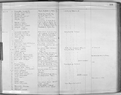 Amphiura filiformis (O.F. Muller, 1776) - Zoology Accessions Register: Echinodermata: 1935 - 1984: page 109