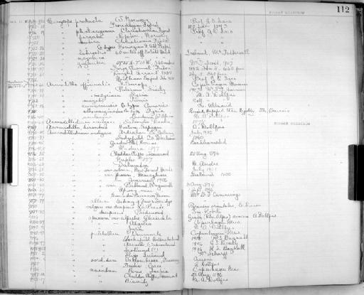 Eurycope mutica G. O. Sars, 1864 - Zoology Accessions Register: Crustacea - Norman Collection: 1911: page 112