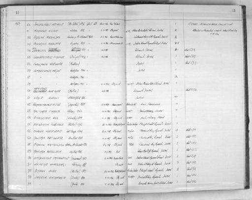 Lepidasthenia argus Hodgson, 1900 - Zoology Accessions Register: Polychaeta: 1967 - 1989: page 11