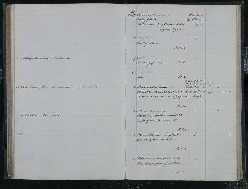 Arsinoitherium andrewsi Lankester, 1903 - NHM-UK_P_DF118_03_31_0371