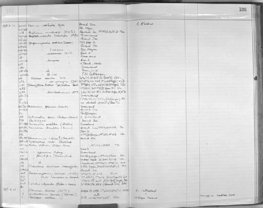 Amphiura sundevalli (Muller & Troschel, 1842) - Zoology Accessions Register: Echinodermata: 1935 - 1984: page 198