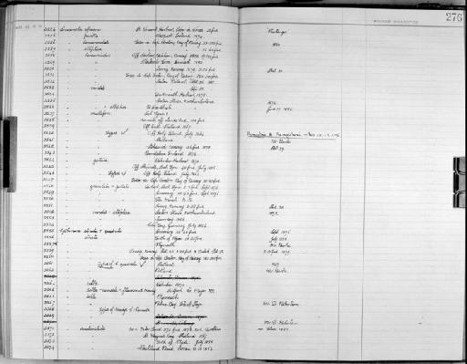 Cytherura striata Sars, 1866 - Zoology Accessions Register: Crustacea - Norman Collection: 1911: page 276