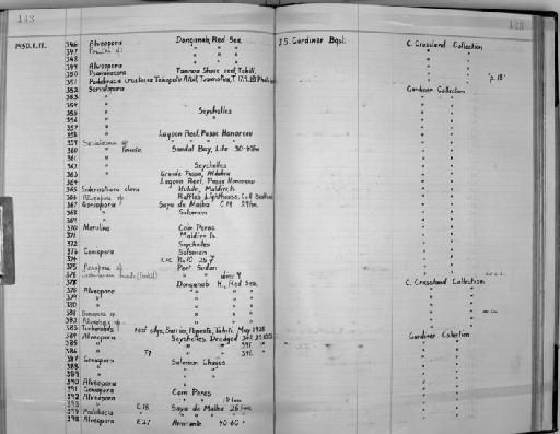 Alveopora Blainville, 1830 - Zoology Accessions Register: Coelenterata: 1934 - 1951: page 143