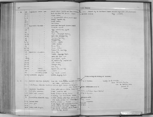 Haplochromis aelocephalus Greenwood, 1959 - Zoology Accessions Register: Fishes: 1937 - 1960: page 196