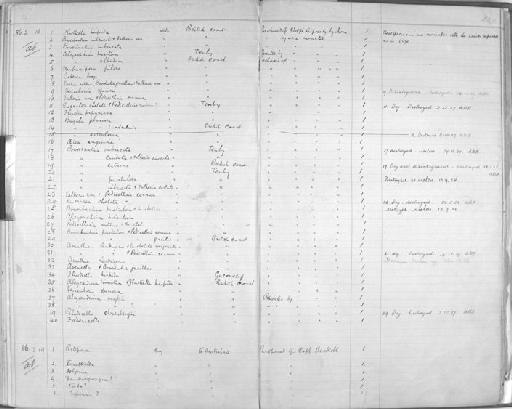 Electra pilosa (Linnaeus, 1767) - Zoology Accessions Register: Mollusca: 1877 - 1883: page 240