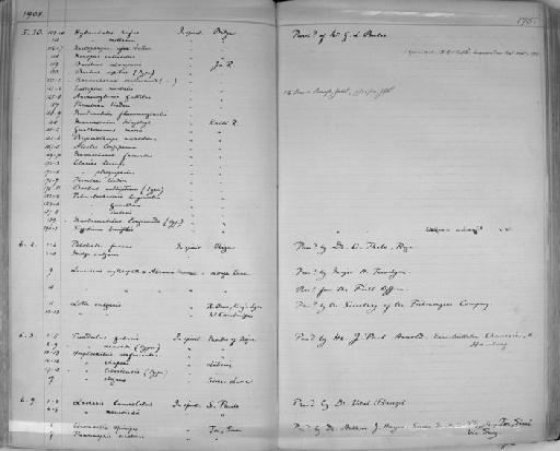 Chromidotilapia kingsleyae Boulenger, 1898 - Zoology Accessions Register: Reptiles & Fishes: 1904 - 1925: page 175