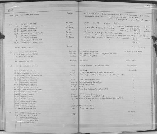 Halichoeres sp - Zoology Accessions Register: Fishes: 1961 - 1971: page 194