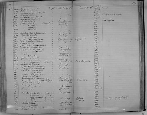 Gobius mirabilis - Zoology Accessions Register: Reptiles & Fishes: 1878 - 1892: page 370