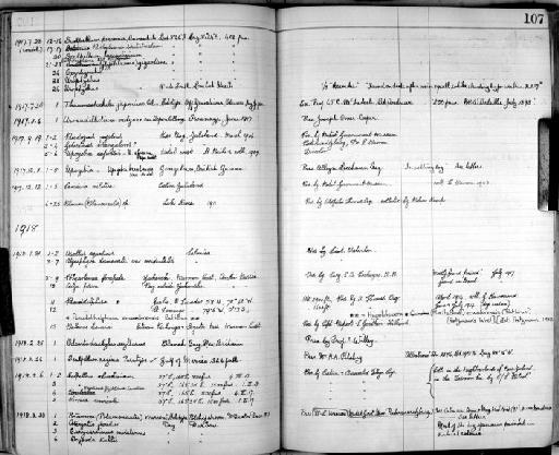 Scalpellum regina Pilsbry, 1907 - Zoology Accessions Register: Crustacea: 1905 - 1935: page 107