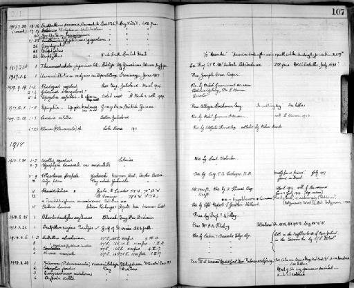 Poecilasma gigas Annandale, 1916 - Zoology Accessions Register: Crustacea: 1905 - 1935: page 107