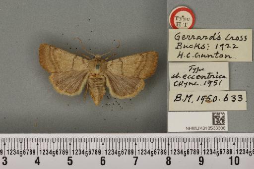 Charanyca trigrammica ab. eccentrica Cockayne, 1951 - NHMUK_010533308_587390