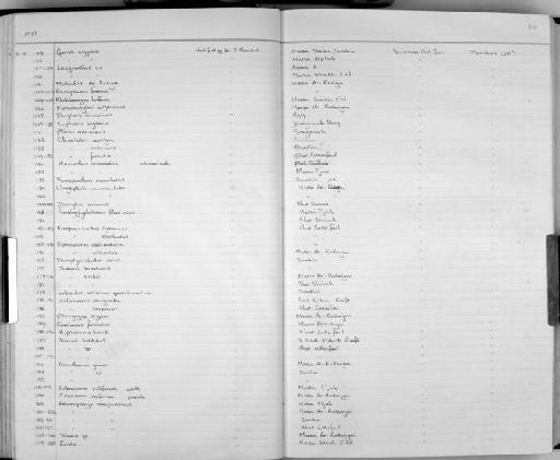 Chrysiptera unimaculata (Cuvier in Cuvier & Valenciennes, 1830) - Zoology Accessions Register: Fishes: 1986 - 1994: page 46