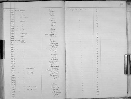 Caecum trachea (Montagu, 1803) - Zoology Accessions Register: Mollusca: 1906 - 1911: page 209