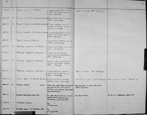 Pagurus variabilis (A. Milne-Edwards & Bouvier, 1892) - Zoology Accessions Register: Crustacea: 1976 - 1984: page 73