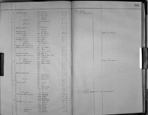 Cisticola wellsi Ogilvie-Grant, 1907 - Zoology Accessions Register: Aves (Skins): 1914 - 1916: page 342