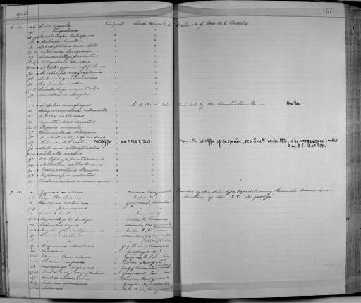 Tetraodon callisternus - Zoology Accessions Register: Fishes: 1912 - 1936: page 157