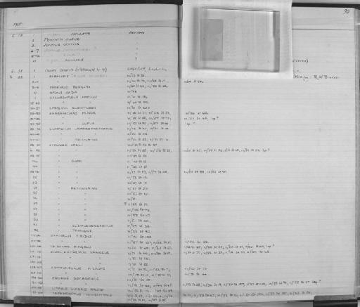 Liparis liparis major - Zoology Accessions Register: Fishes: 1961 - 1971: page 90A