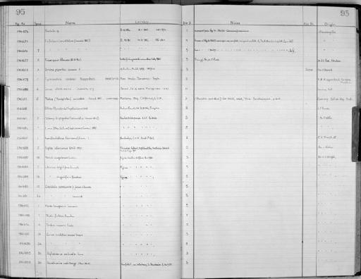 Ostrea (Pycnodonta) latiauratus (Conrad, 1837) - Zoology Accessions Register: Mollusca: 1956 - 1978: page 95