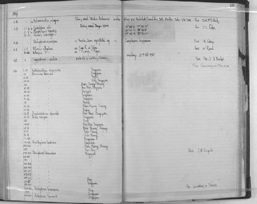 Stolephorus pseudoheterolobus Hardenberg, 1933 - Zoology Accessions Register: Fishes: 1961 - 1971: page 138