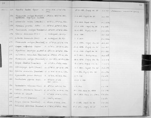 Chondrocladia gigantea (Hansen, 1885) - Zoology Accessions Register: Spongiida: 1954 - 1970: page 58