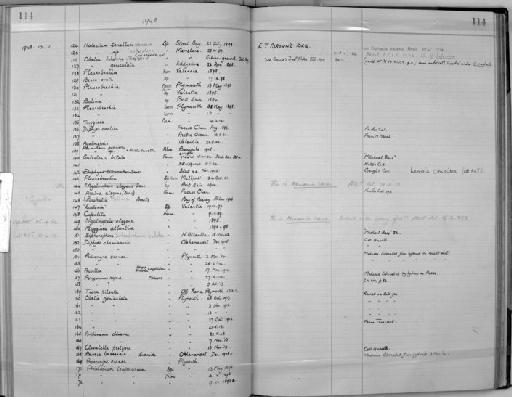 Galeolaria biloba - Zoology Accessions Register: Coelenterata: 1934 - 1951: page 114