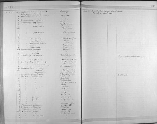 Nectarinia jugularis australis - Zoology Accessions Register: Aves (Skins): 1874 -1880: page 328