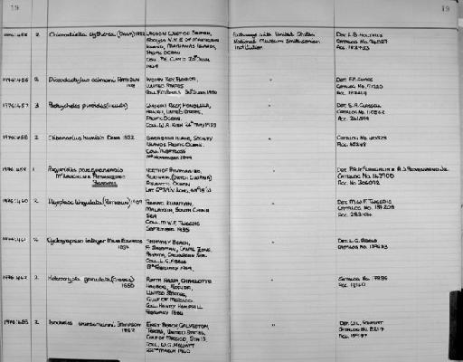 Paguristes paraguanensis McLaughlin & Provenzano, 1975 - Zoology Accessions Register: Crustacea: 1976 - 1984: page 19