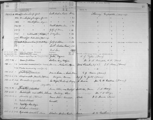 Hesione protochona - Zoology Accessions Register: Annelida: 1936 - 1970: page 20