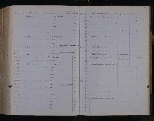 Arius aequus Frost, 1933 - NHM-UK_P_DF118_03_12_0493