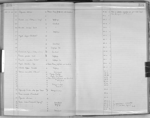 Stylocordyla borealis typica Burton, 1931 - Zoology Accessions Register: Spongiida: 1929 - 1938: page 216