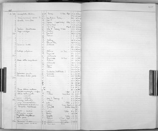 Pyrrhocorax graculus digitatus Hemprich & Ehrenberg, 1833 - Zoology Accessions Register: Aves (Skins): 1936 -1938: page 292