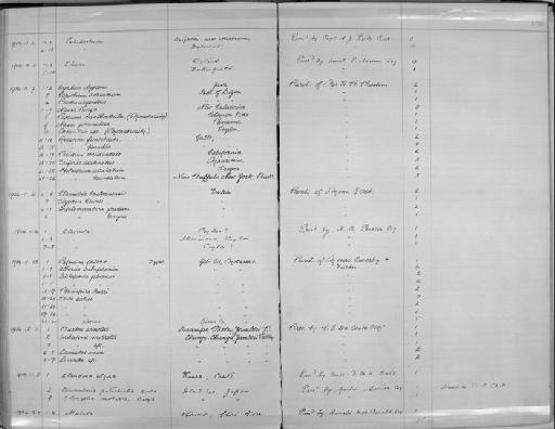 Glessula subterclass Tectipleura E. von Martens, 1860 - Zoology Accessions Register: Mollusca: 1900 - 1905: page 180