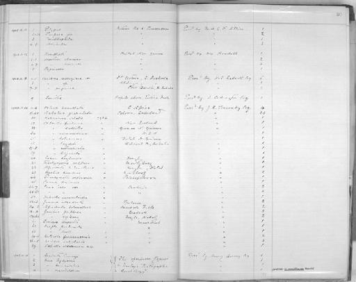 Unio crocodilorum subterclass Palaeoheterodonta Morelet, 1849 - Zoology Accessions Register: Mollusca: 1906 - 1911: page 80