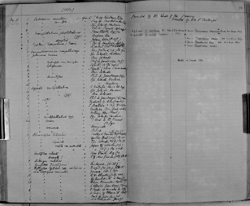 Ocypode ceratophthalma subsection Thoracotremata section Eubrachyura - Zoology Accessions Register: Crustacea: 1876 - 1905: page 76