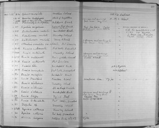 Diopatra - Zoology Accessions Register: Annelida & Echinoderms: 1924 - 1936: page 22