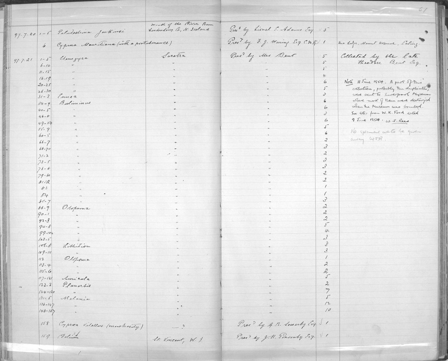Zoology Accessions Register: Mollusca: 1894 - 1899: page 61