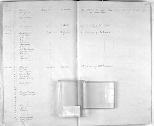 Muraena sp - Zoology Accessions Register: Mammals: 1861 - 1890: page 66