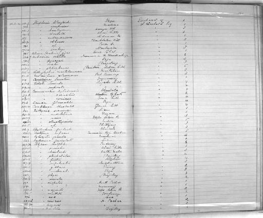 Megalomastoma gravidum Benson, 1856 - Zoology Accessions Register: Mollusca: 1884 - 1893: page 141