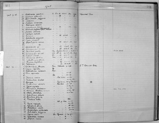 Sertularella Gray, 1848 - Zoology Accessions Register: Coelenterata: 1934 - 1951: page 111