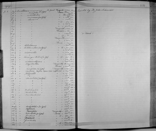 Eustomias digitatus Gomon & Gibbs, 1985 - Zoology Accessions Register: Fishes: 1912 - 1936: page 199