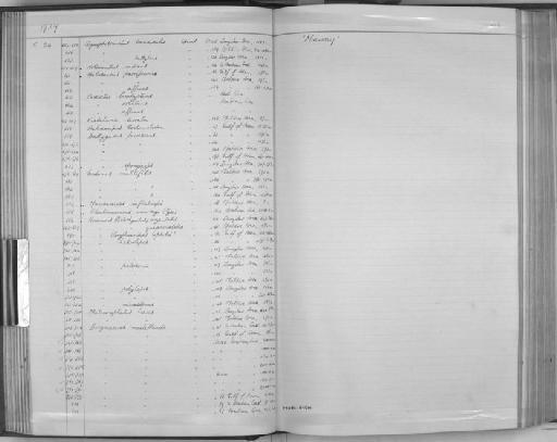 Synaphobranchus brevidorsalis Günther, 1887 - Zoology Accessions Register: Fishes: 1937 - 1960: page 48