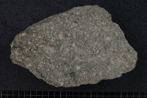 Quartz-feldspar porphyry showing argillic alteration - OR.1786, Quartz-feldspar porphyry showing argillic alteration, Nayak, Philippines