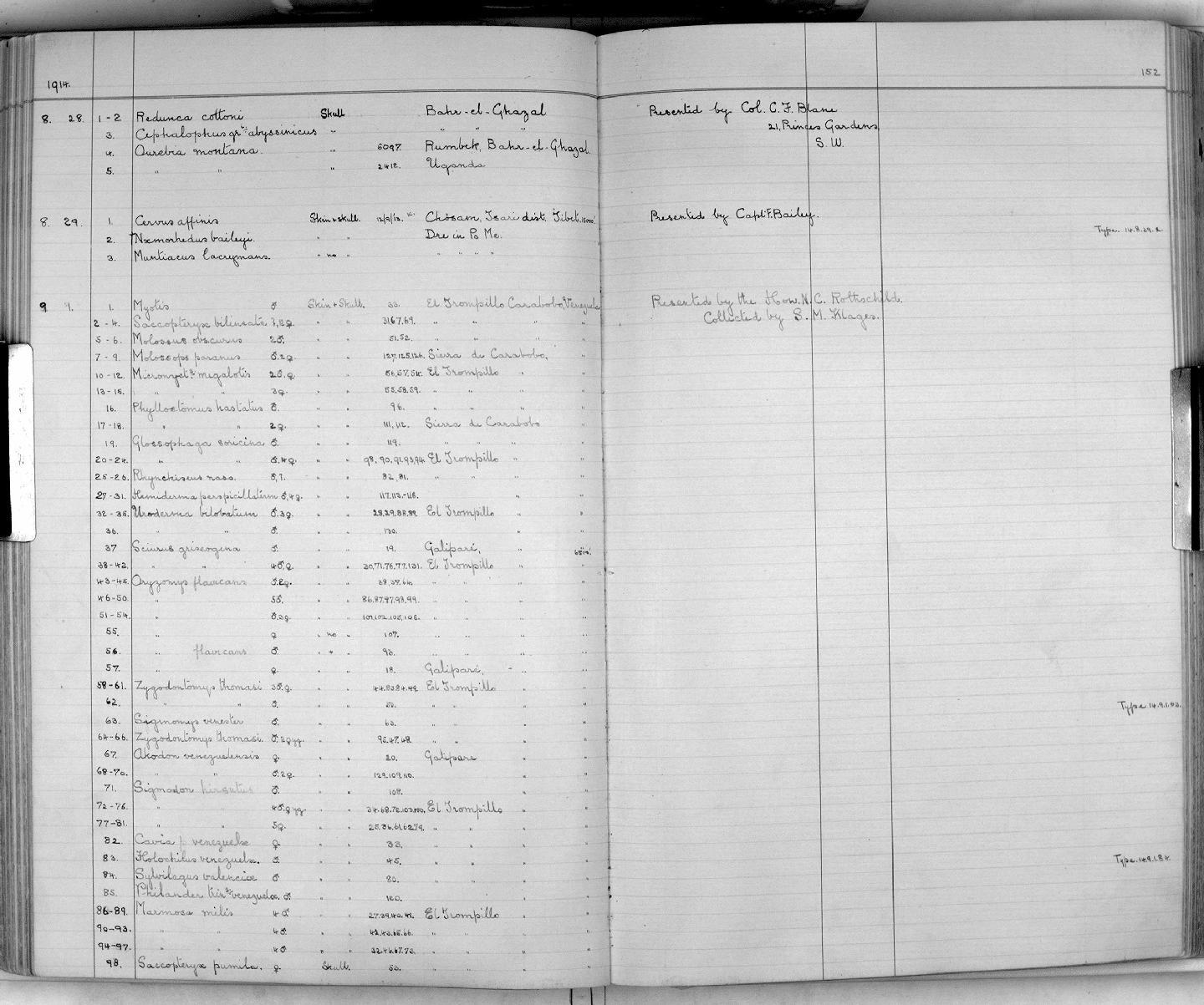 Zoology Accessions Register: Mammals: 1911 - 1920: page 152