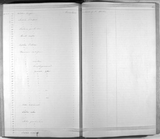 Scalaria eschrichtii Møller, 1842 - Zoology Accessions Register: Mollusca: 1842 - 1843: page 263