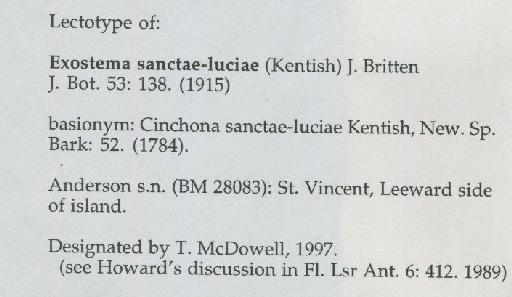 Exostema sanctae-luciae (Kentish) Britten - BM000028083_A