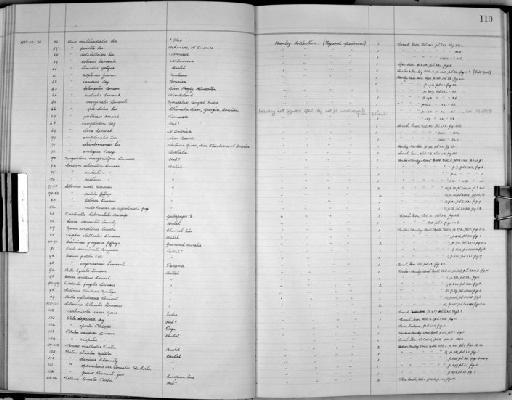 Donax panamensis subterclass Euheterodonta Philippi, 1849 - Zoology Accessions Register: Mollusca: 1938 - 1955: page 110