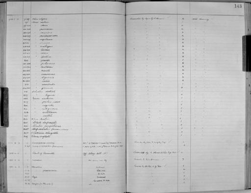 Conus omaicus Hwass, 1792 - Zoology Accessions Register: Mollusca: 1925 - 1937: page 143