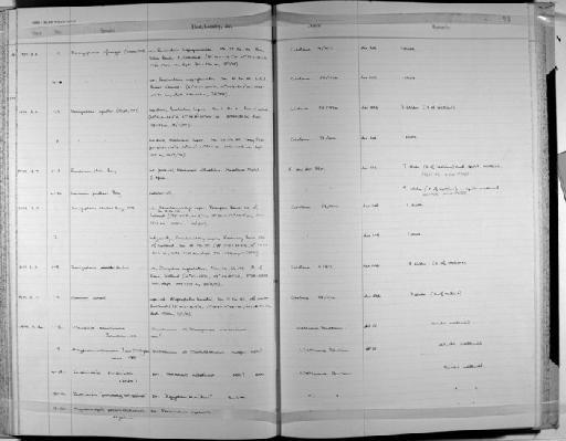 Enenterum eleti Bray - Zoology Accessions Register: Platyhelminth: 1971 - 1981: page 95