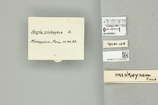Argia mishuyaca Fraser, 1946 - 013383667_labels