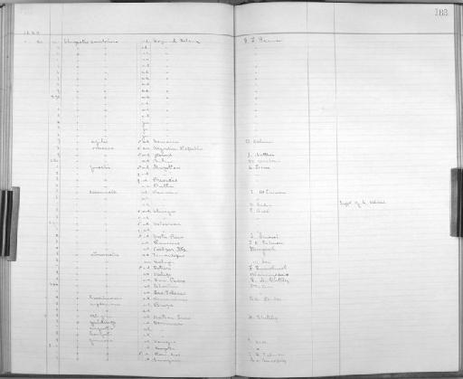 Amazona autumnalis salvini (Salvadori, 1891) - Bird Group Collector's Register: Aves - Salvin & Godman Collection Vol 2: 1887 - 1889: page 183